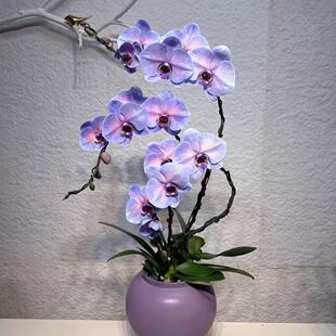 �����m���玧����2.8�������҃ȿ͏d�����̨�Gֲ�ļ��_��������