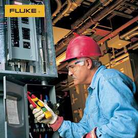 福禄克F319 真有效值交直流数字电流表 1000A 交流/直流 FLUKE-31