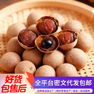 ���l���A�����۹��A�����خa�������۸� ���ܛŴ�������l���A��