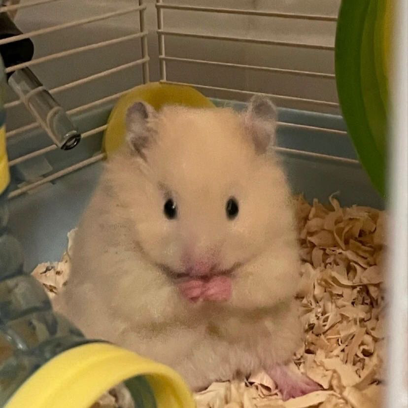 018647a1-8690-4156-ae90-d8887fc8a98c.jpe