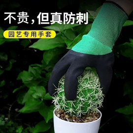 通用手套;家务手套;其他手部防护