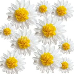 向日葵装饰 小雏菊庆典聚会拉花装饰道具 工艺拷贝纸布置用品纸花
