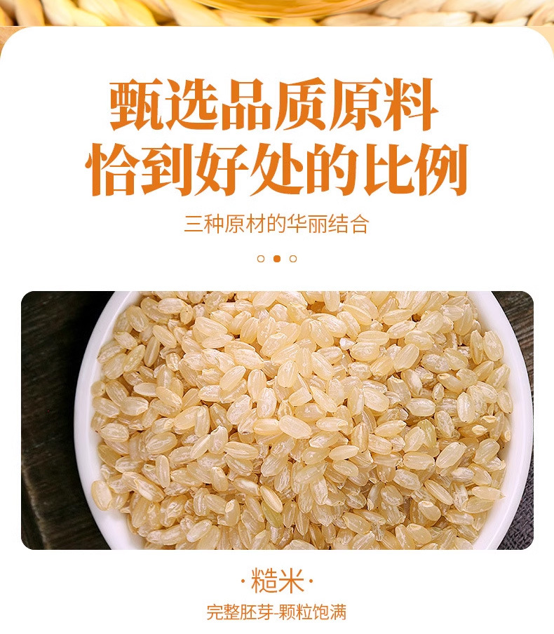 Chenpi Ginger Rice Tea 陈皮姜米茶 5g x 30 Bags Roasted Rice Herbal Tea for Daily Brewing quality and texture