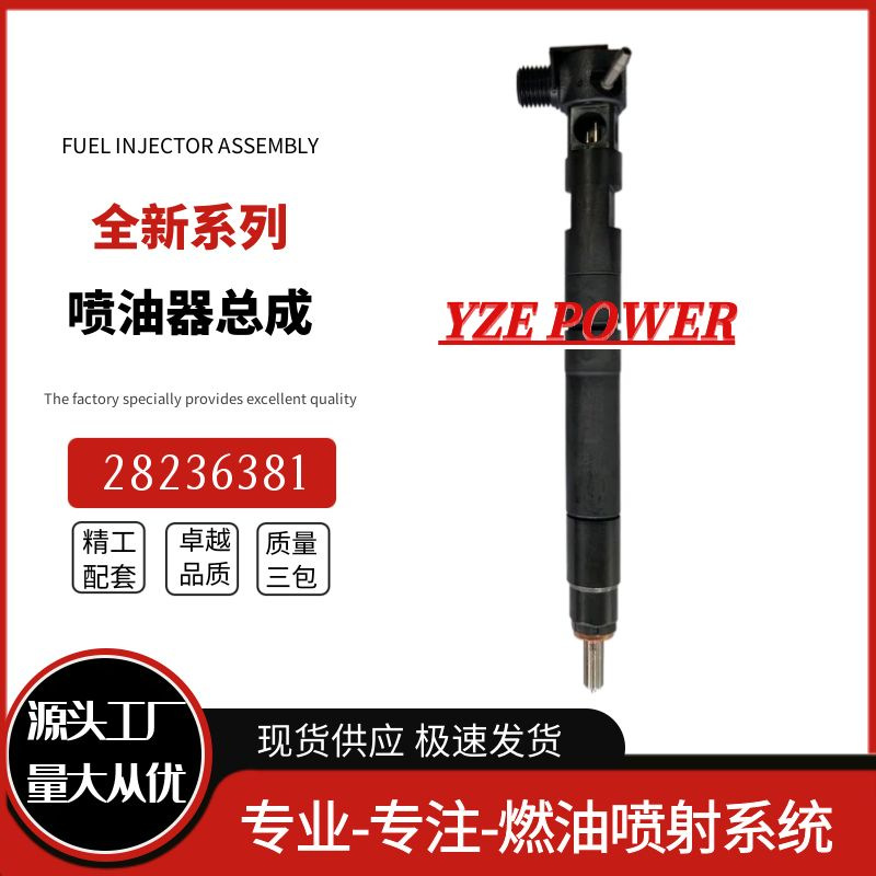 28599713 inyector diesel del carril común 1100100XED95 conveniente para el motor de Delphi 4D20M