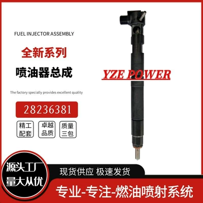 28599713 Common Rail Oil pump, nozzle