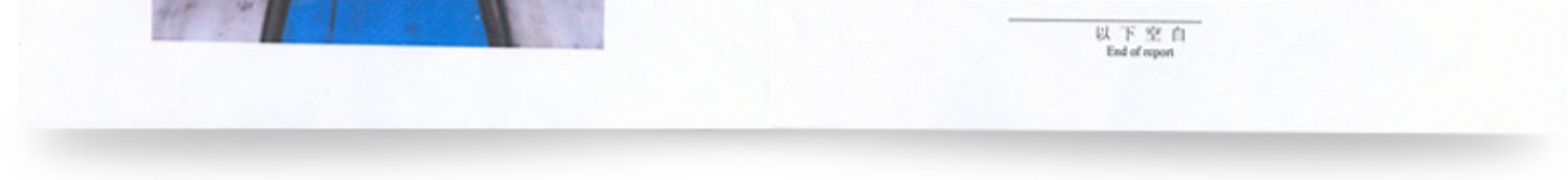 Suitable for Chaopu Fuel Treasure Gasoline Additive Three-Way Catalytic Carbon Deposit Removal Engine Cleaner Official Flagship