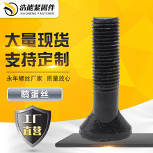 呴�Ԫ����˨ �Z���^�ݽz �ߏ��șE�A�^��˨ ��ĥ���ݽz �����ݽz