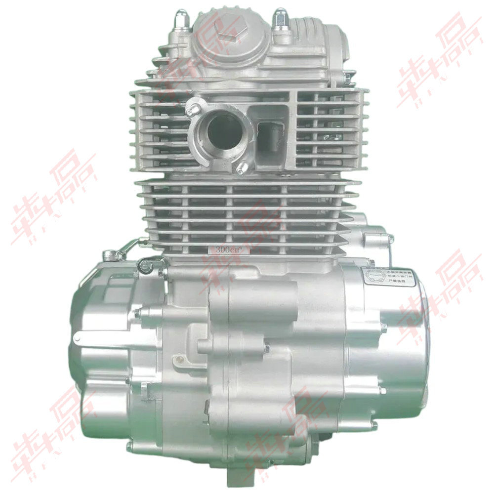 Benlei Cb250-F Cb300-F Zs172Fmm Zs175Fmm Off-Road Motorcycle Engine Assembly