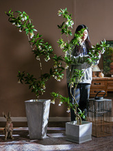 造型精致仿真水石榕假树植物假花树绿植室内客厅造景落地装饰摆件