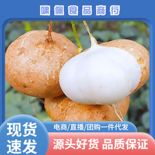 ���ڏV�����푪���������r�߲�10���r���ԷN�׵ع�ɳ����}������