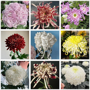 ջ ջ 녵Zë AϵЪ{^