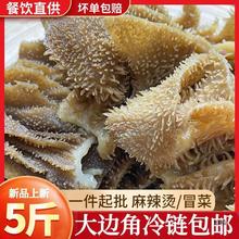 毛肚边角料大边角牛百叶新鲜水发毛肚千层肚自助牛杂火锅餐饮批发