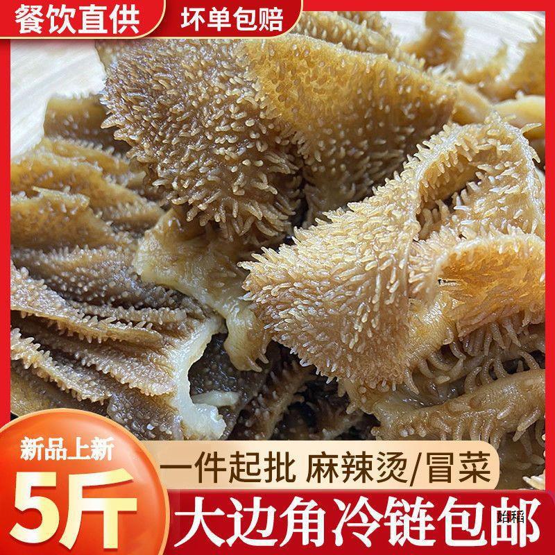 毛肚边角料大边角牛百叶新鲜水发毛肚千层肚自助牛杂火锅餐饮批发