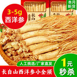 抖快一件代发 西洋参批发参 干参 西洋参 煲汤泡酒小参多克重