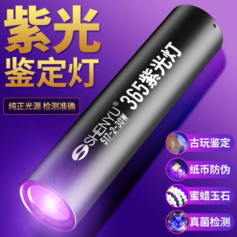 Purple Flashlight to Measure Vegetables Blue Sail Bordeaux Liquid UV Lamp Charging Fluorescent to Identify Pesticide Residues