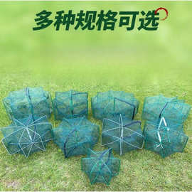 鱼网虾笼捕鱼笼神器自动折叠黄鳝笼捕虾网渔具捉鱼笼网笼渔网鱼网