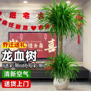 ���w��Ѫ��͏d�Gֲ�҃ȴ��ͺ�������횘��̖�辰���Ϙ����Ժ��B