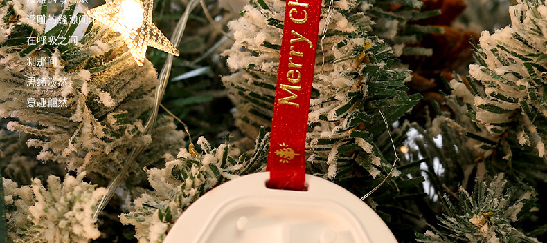 圣诞限定香挂_18.jpg