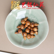 ��ľ���J���ˇ���ԷDIY�͹�����С���J��������֙C��ִ����