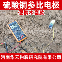 便携式硫酸铜参比电极 送备用CUSO4粉末 阴极保护电位检测装置