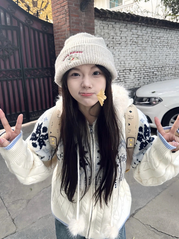 2025新款日系复古费尔岛麻花针织外套女秋季新款宽松慵懒连帽开衫|undefined