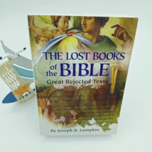 �羳����THELOSTBOOKSOFTHEBIBLEGREATREJECTEDTEXTSʧ��ĕ���