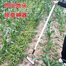 �r�ÿ����z���z�^�����r��呴���ù��߳����L���i�����