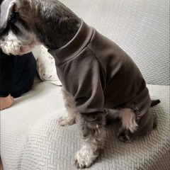 クロスボーダーペット犬服秋冬ホーム小型犬ペット犬猫ボトムスパジャマと防寒服卸売