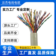 25 �� UTP Cat5e �p�g�W�� AWG24 �~ C500