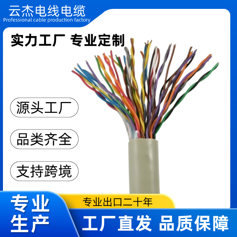 25 对 UTP Cat5e 双绞网线 AWG24 铜 C500