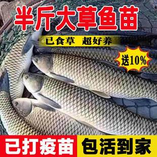 ����~�絭ˮ�Bֳʳ�����~�ش�Ҏ����һ��20���׻��w���~�����l