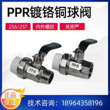 ���������y257�λ�ӃȽz���y�����B����t�y�w���P��y�U�_�P�y