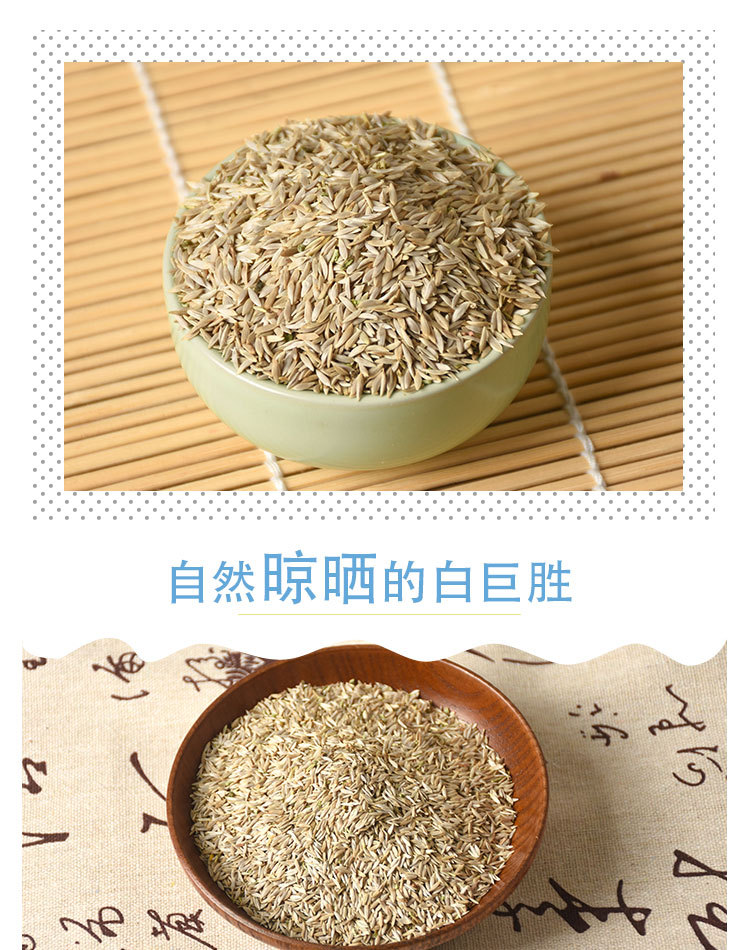 Bai Ju Sheng Seeds (Lactuca sativa) — Dried Food-Herb Lettuce Seeds for Tea & Soup preparation