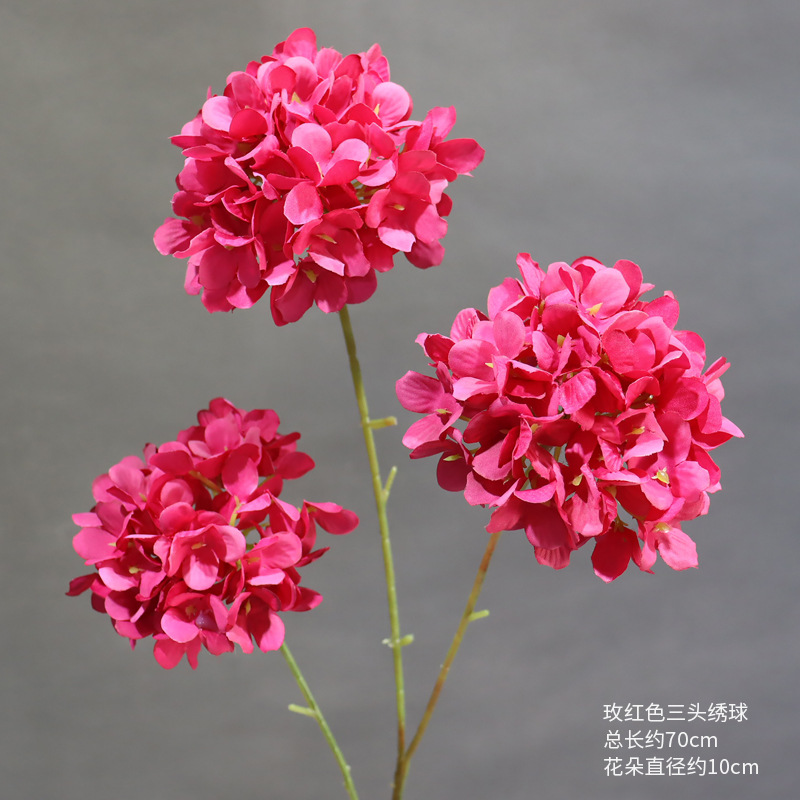 Una hortensia de tres cabezas de rosa roja