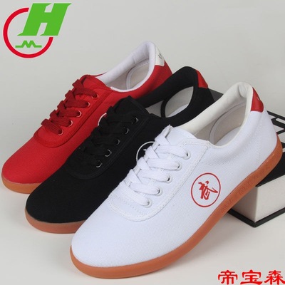 Taiji shoes Dichotomanthes bottom canvas summer non-slip A martial art Practice shoes Taiji boxing train gym shoes