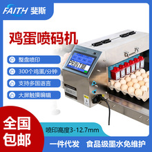 FAITH�����^ȫ�Ԅ����P�u����a�C��ʳ��ī�S�� ���� �u�����a�C