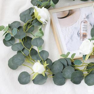 �����ȼ����ٗl��ֲ���~�������p�@��������ins���ϻ�c�����b�