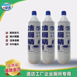 洗衣粉;马桶洁厕剂;家居清洁护理