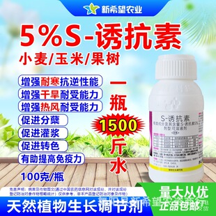 5%S�T����  ���ь���������ɫ�� �����O���߼t�����������L�{����