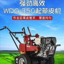 沃得 WDQ-350大马力起草皮机 GXV270动力大功率汽油园林起草皮机