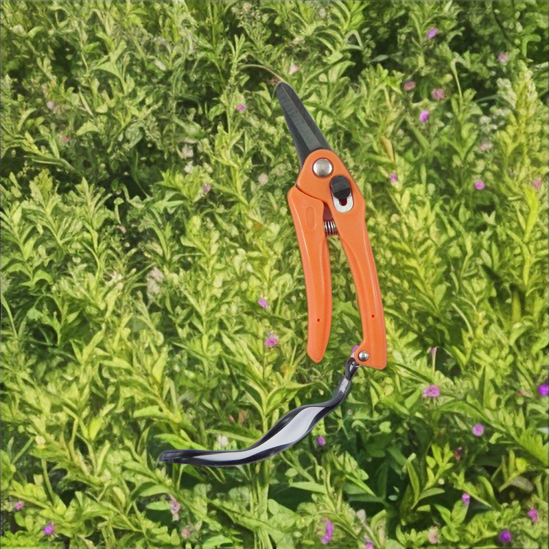 厂家直销高质量园林剪修枝剪树枝剪果枝剪摘果剪   欢迎选购