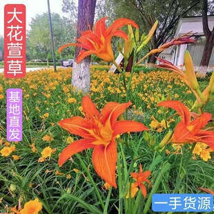 ��������n���ͺ����ܽ�������ݷN������ݵر������ɫ�x��