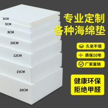 家雪50D高密度海绵坐垫加厚加硬实木沙发坐垫跨境直营压缩海绵垫