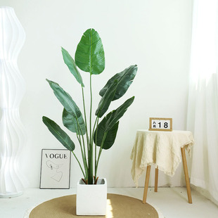 WLGֲ˽҃ȼҾb[٘˽Bֲ