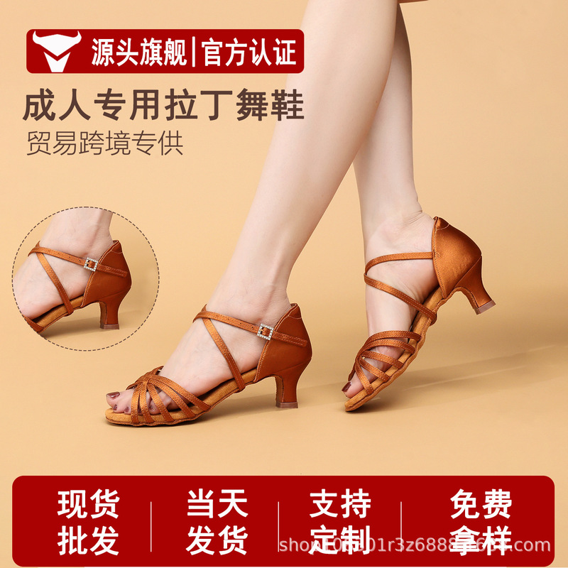 Latin Dance Shoes for Adults, Women's Thick-Soled Professional Grade Latin Dance Shoes, Soft-Soled Non-Slip Satin Ballroom Dance Shoes