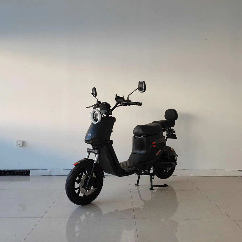 厂家批发电动自行车nijia朝鲜GT1小旋风电动车18寸2.5马头山