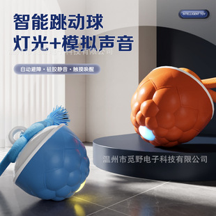 �S�����l�����������������ܶ��������Ԅ��޹������˽␞�����
