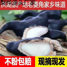 洪湖新鲜老菱角带壳现摘湖北当季凌角时令蔬菜水果1斤厂家代发