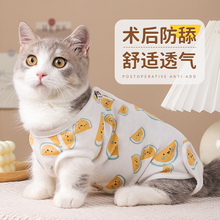 猫咪绝育服母猫手术衣服猫猫小猫断奶春秋防舔公猫术后服宠物用品