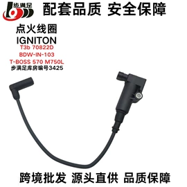 点火线圈;电子调节器;点火器